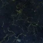 Doradus