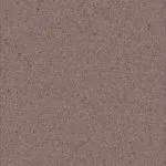Warm-Gray